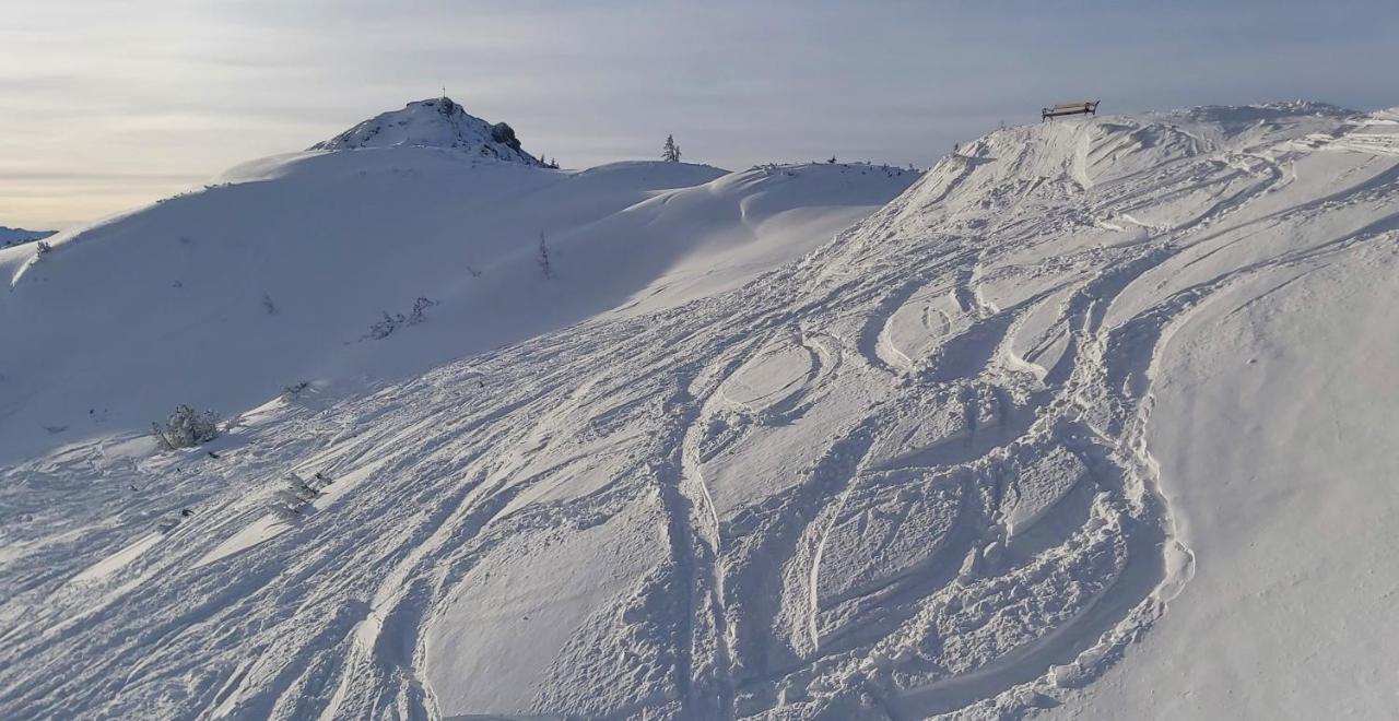 Hotel Garni Sonnhof Flachau Exteriör bild